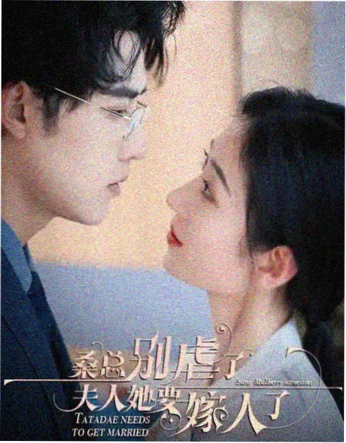 雾港档案剧集海报